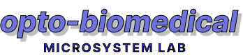 Roboflow Inference